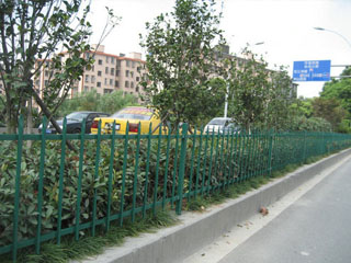 綠化護欄網(wǎng)